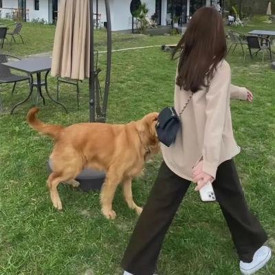 大都会传奇